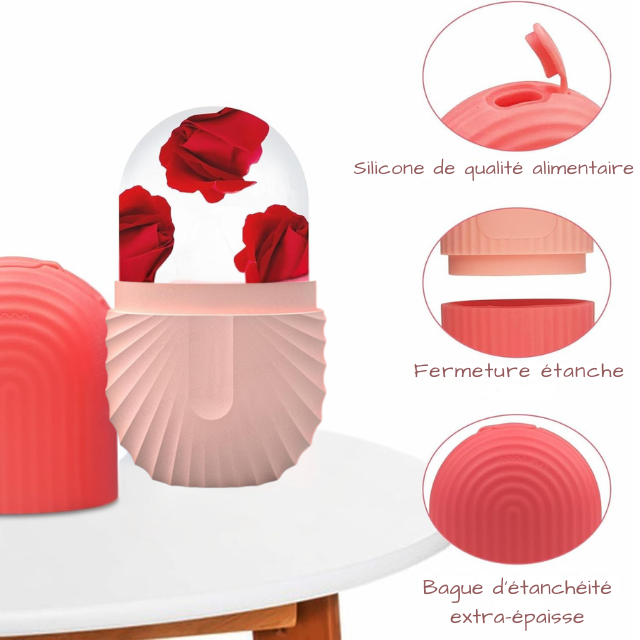 Moule de glace facial