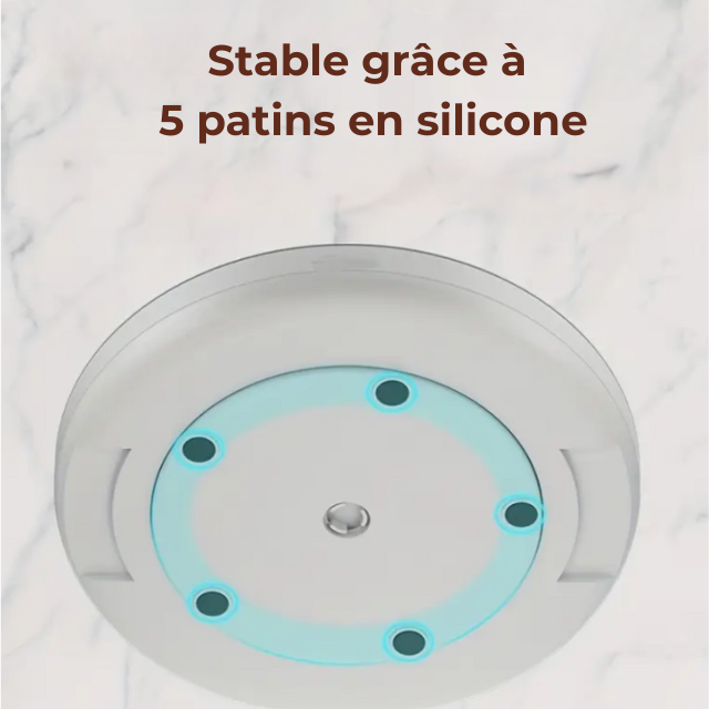 Plateau rotatif